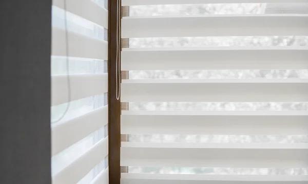 Discover the Best Blinds Shops in Southampton