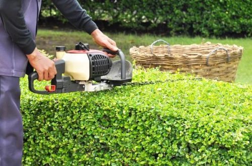 Fast and Affordable Tree Removal Near Me for Any Property Size