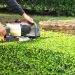 Fast and Affordable Tree Removal Near Me for Any Property Size