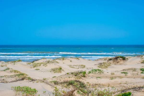 Best Rentals in South Padre Island for a Relaxing Beach Vacation