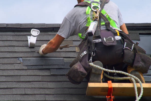 Best Roofing Contractor Albany for Customized Roofing Solutions
