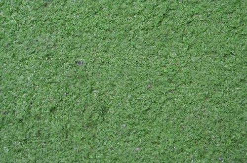 Local Lawn Care Service Near Me Expert Solutions for Every Yard