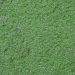 Local Lawn Care Service Near Me Expert Solutions for Every Yard