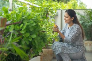 Designing Your Dream Wildflower Garden