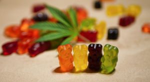 Why Solventless THC Gummies Are Growing in Popularity
