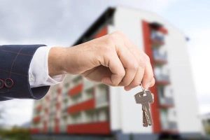 Reliable Outdoor Services for Cleaner and Healthier Properties