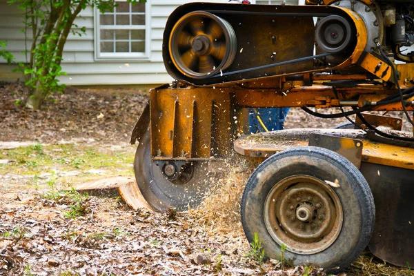 Emergency Tree Removal Service When You Need Immediate Help