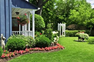 Transform Your Garden with Simple Tools and Ideas